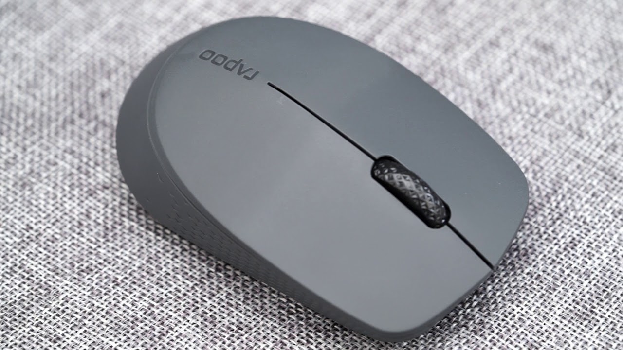 RAPOO Wireless Mouse-M100