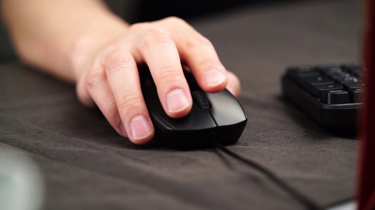 RAPOO Office Mouse-N100